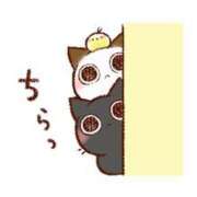 ヒメ日記 2025/11/30 12:03 投稿 ここみ プロローグ-序章-浜松店