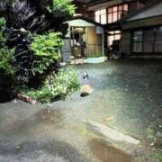 ヒメ日記 2025/12/05 19:45 投稿 ここみ プロローグ-序章-浜松店