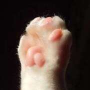 ヒメ日記 2025/12/14 12:03 投稿 ここみ プロローグ-序章-浜松店