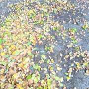 ヒメ日記 2025/12/19 12:16 投稿 ここみ プロローグ-序章-浜松店