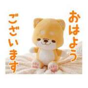 ヒメ日記 2025/12/29 07:16 投稿 ここみ プロローグ-序章-浜松店