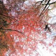 ヒメ日記 2025/12/30 11:45 投稿 ここみ プロローグ-序章-浜松店