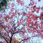 ヒメ日記 2026/01/02 05:35 投稿 ここみ プロローグ-序章-浜松店