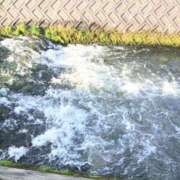 ヒメ日記 2026/01/03 04:41 投稿 ここみ プロローグ-序章-浜松店