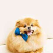 ヒメ日記 2026/01/11 12:15 投稿 ここみ プロローグ-序章-浜松店