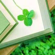 ヒメ日記 2026/01/12 12:15 投稿 ここみ プロローグ-序章-浜松店