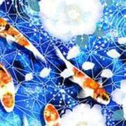 ヒメ日記 2026/01/13 19:45 投稿 ここみ プロローグ-序章-浜松店