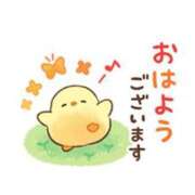 ヒメ日記 2026/01/27 06:23 投稿 ここみ プロローグ-序章-浜松店