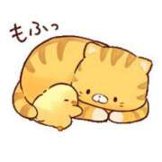 ヒメ日記 2026/02/02 07:00 投稿 ここみ プロローグ-序章-浜松店