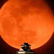 ヒメ日記 2026/02/05 18:58 投稿 ここみ プロローグ-序章-浜松店