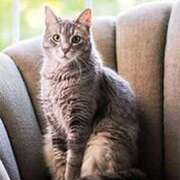 ヒメ日記 2026/02/13 13:24 投稿 ここみ プロローグ-序章-浜松店