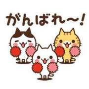 ヒメ日記 2026/02/14 11:45 投稿 ここみ プロローグ-序章-浜松店