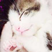 ヒメ日記 2026/02/16 13:20 投稿 ここみ プロローグ-序章-浜松店