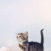 ヒメ日記 2026/02/17 19:45 投稿 ここみ プロローグ-序章-浜松店