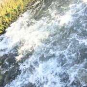 ヒメ日記 2026/02/19 11:30 投稿 ここみ プロローグ-序章-浜松店