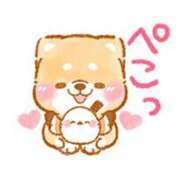 ヒメ日記 2026/02/23 19:30 投稿 ここみ プロローグ-序章-浜松店