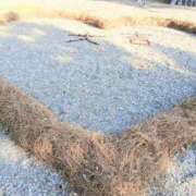 ヒメ日記 2026/02/24 07:41 投稿 ここみ プロローグ-序章-浜松店