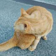 ヒメ日記 2026/03/10 12:03 投稿 ここみ プロローグ-序章-浜松店