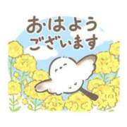 ヒメ日記 2026/03/11 06:33 投稿 ここみ プロローグ-序章-浜松店