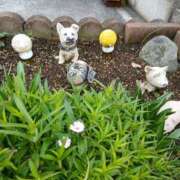 ヒメ日記 2026/03/11 21:15 投稿 ここみ プロローグ-序章-浜松店