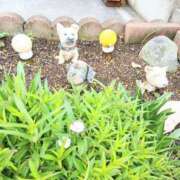 ヒメ日記 2026/03/13 07:27 投稿 ここみ プロローグ-序章-浜松店