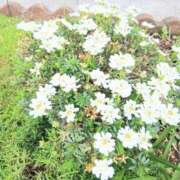 ヒメ日記 2026/03/13 19:46 投稿 ここみ プロローグ-序章-浜松店