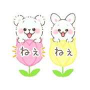 ヒメ日記 2026/03/13 20:31 投稿 ここみ プロローグ-序章-浜松店