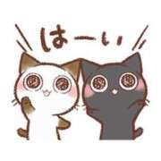 ヒメ日記 2026/03/15 18:15 投稿 ここみ プロローグ-序章-浜松店