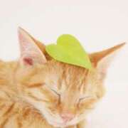 ヒメ日記 2026/03/23 18:01 投稿 ここみ プロローグ-序章-浜松店