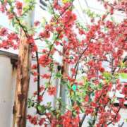 ヒメ日記 2026/03/26 06:53 投稿 ここみ プロローグ-序章-浜松店