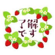 ヒメ日記 2026/04/03 11:45 投稿 ここみ プロローグ-序章-浜松店