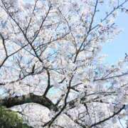 ヒメ日記 2026/04/05 17:01 投稿 ここみ プロローグ-序章-浜松店