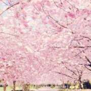 ヒメ日記 2026/04/07 06:47 投稿 ここみ プロローグ-序章-浜松店