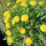 ヒメ日記 2026/04/08 12:16 投稿 ここみ プロローグ-序章-浜松店