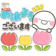 ヒメ日記 2026/04/11 06:30 投稿 ここみ プロローグ-序章-浜松店