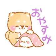 ヒメ日記 2026/04/11 21:20 投稿 ここみ プロローグ-序章-浜松店