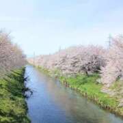 ヒメ日記 2026/04/12 06:43 投稿 ここみ プロローグ-序章-浜松店