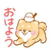 ヒメ日記 2026/04/13 08:23 投稿 ここみ プロローグ-序章-浜松店