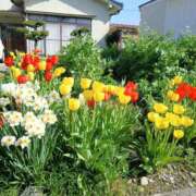 ヒメ日記 2026/04/14 07:18 投稿 ここみ プロローグ-序章-浜松店