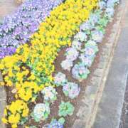 ヒメ日記 2026/04/16 12:03 投稿 ここみ プロローグ-序章-浜松店