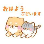 ヒメ日記 2026/04/21 06:47 投稿 ここみ プロローグ-序章-浜松店