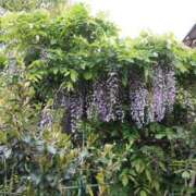 ヒメ日記 2026/04/22 06:30 投稿 ここみ プロローグ-序章-浜松店