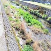 ヒメ日記 2026/04/26 18:01 投稿 ここみ プロローグ-序章-浜松店