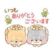 ヒメ日記 2026/04/30 19:30 投稿 ここみ プロローグ-序章-浜松店