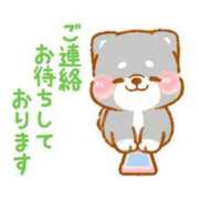 ヒメ日記 2026/05/01 19:30 投稿 ここみ プロローグ-序章-浜松店