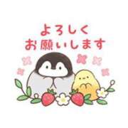 ヒメ日記 2026/05/04 07:53 投稿 ここみ プロローグ-序章-浜松店