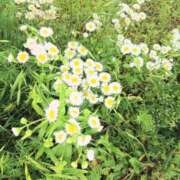ヒメ日記 2026/05/12 18:45 投稿 ここみ プロローグ-序章-浜松店