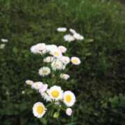 ヒメ日記 2026/05/14 19:30 投稿 ここみ プロローグ-序章-浜松店