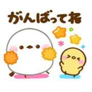 ヒメ日記 2026/05/16 12:04 投稿 ここみ プロローグ-序章-浜松店