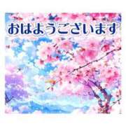 ヒメ日記 2026/05/17 06:49 投稿 ここみ プロローグ-序章-浜松店